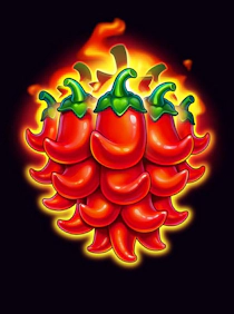 Chili Coins XXXL