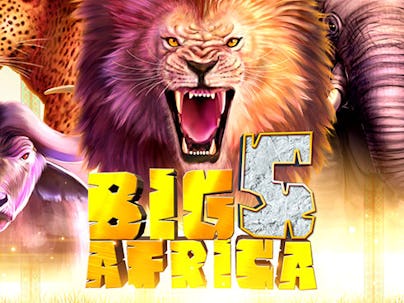 Big 5 Africa