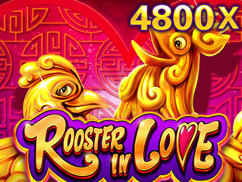 Rooster In Love