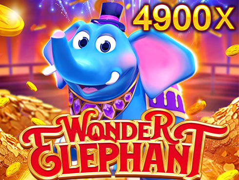 Wonder Elephant