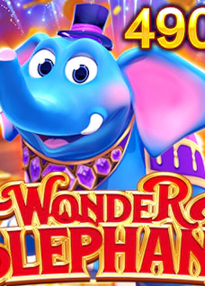Wonder Elephant