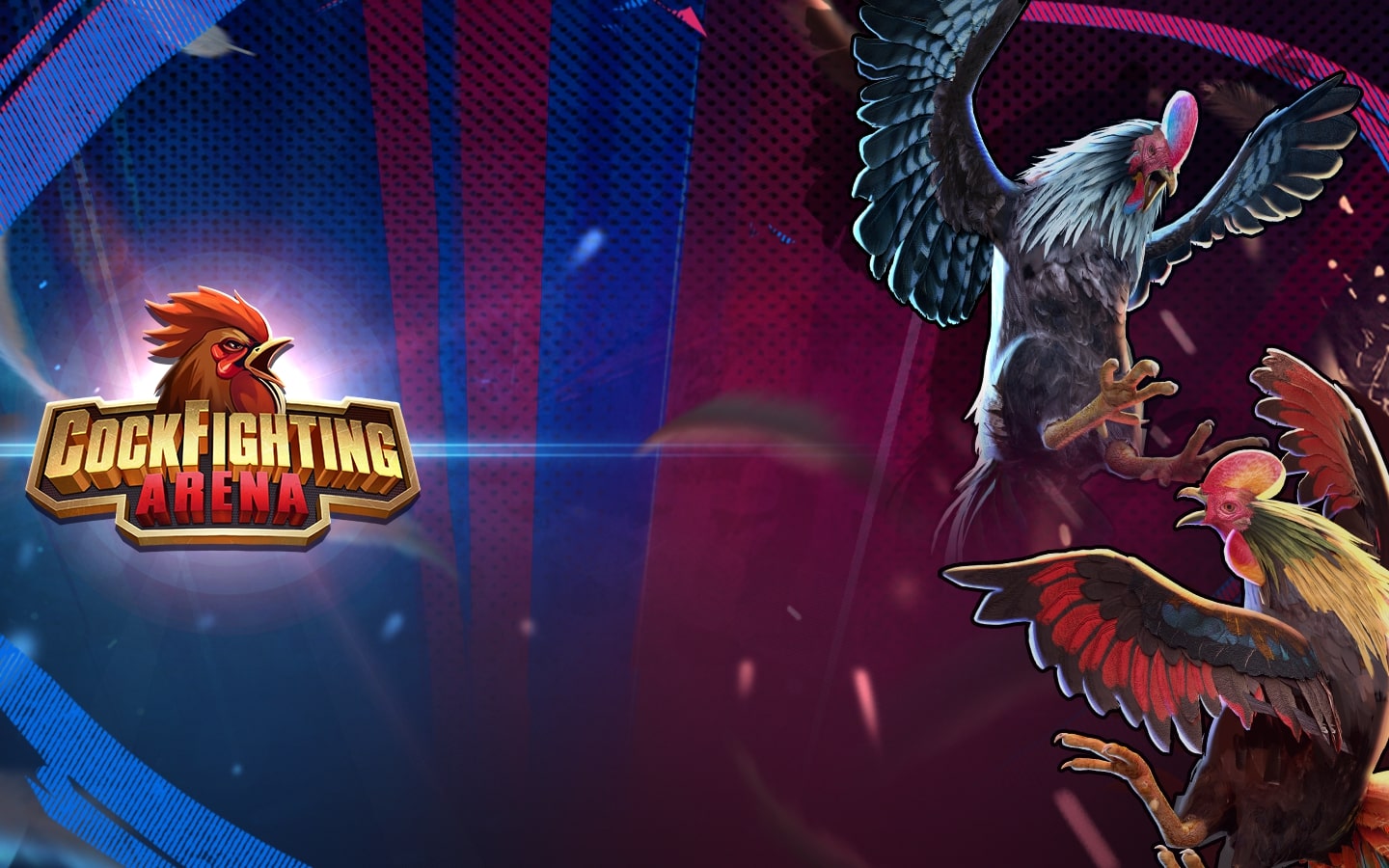 cockfighting-arena-km