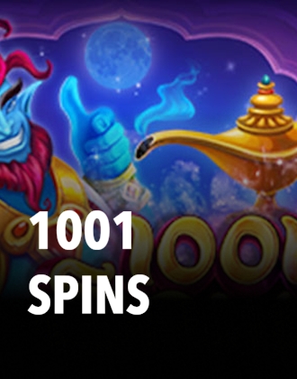 1001 spins