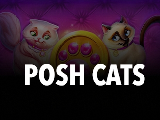 Posh Cats