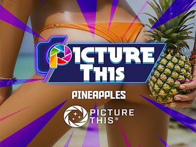 Picture This Pineapples