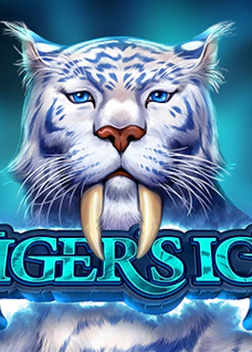 Tiger's Ice