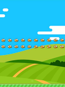Lucky Birds