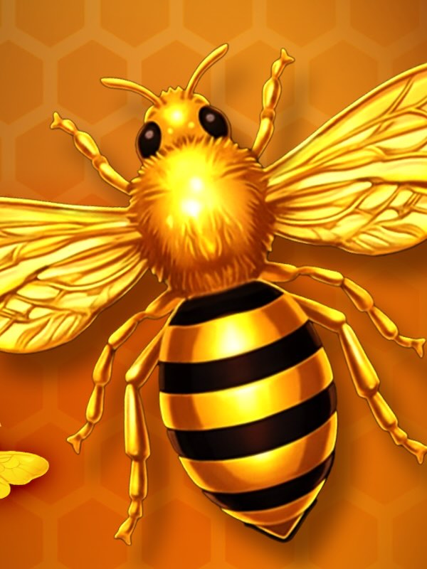 Royal Beellion Hold and Win