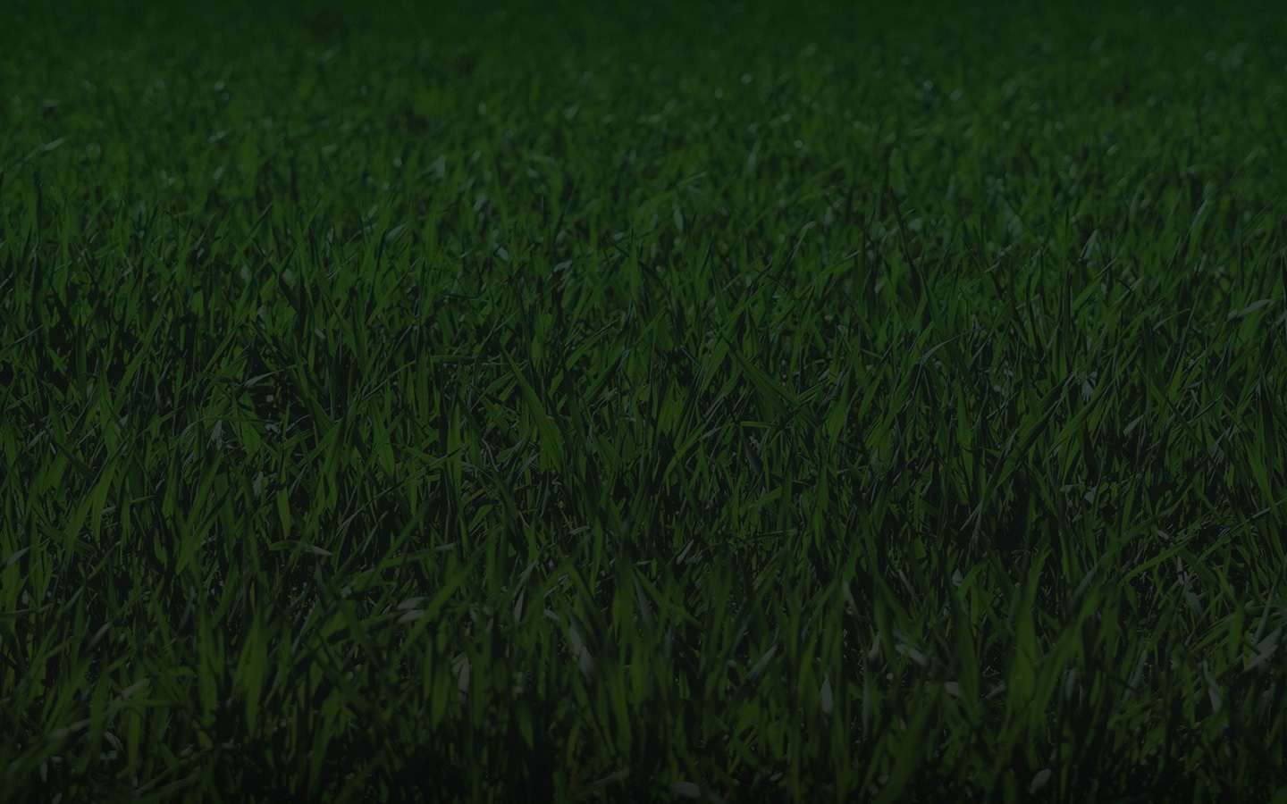 luck-o-the-irish-fortune-spins-2