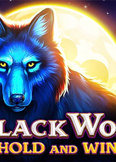Black Wolf