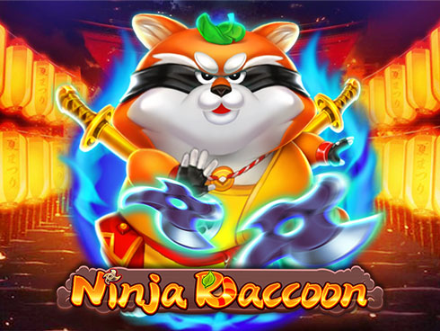 Ninja Raccoon