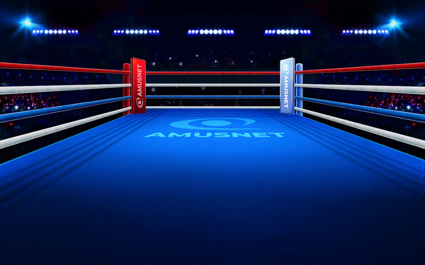 cashybara-boxing-edition