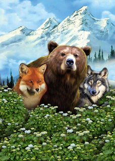 Majestic Forest Buy Bonus