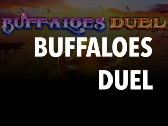 Buffaloes Duel