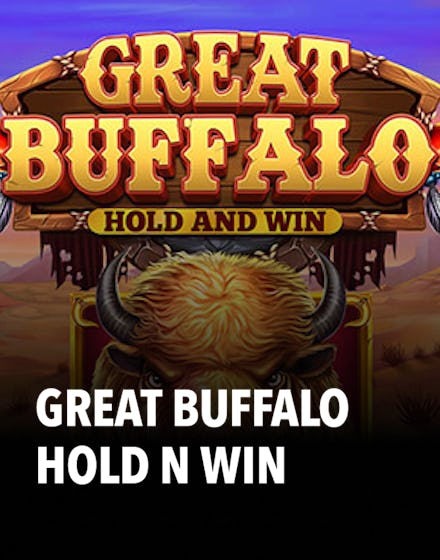 Great Buffalo Hold n Win