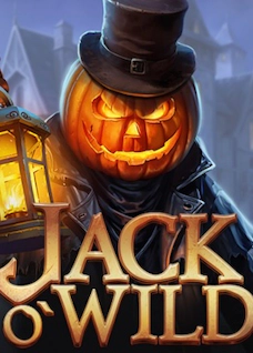 Jack O'Wild