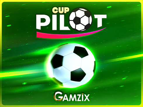 Pilot Cup
