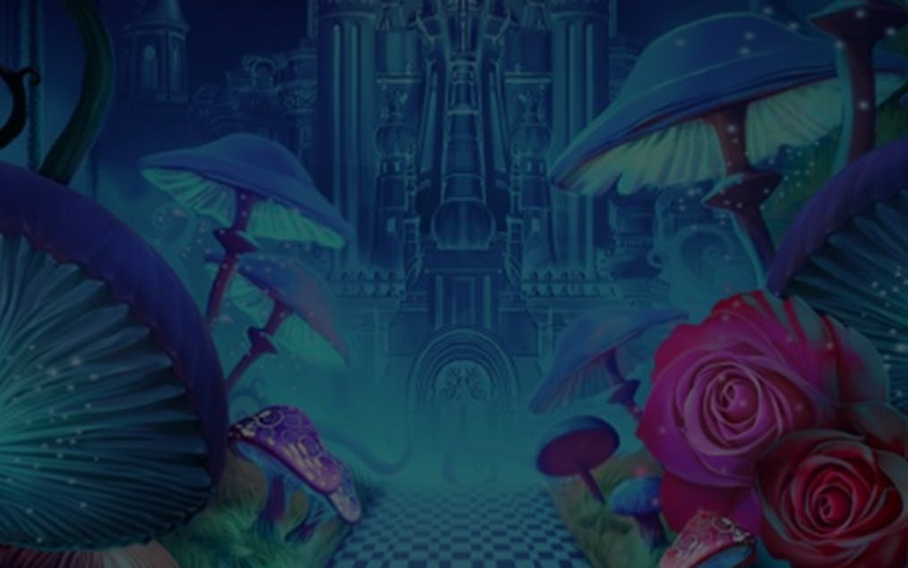 cheeky-cheshire
