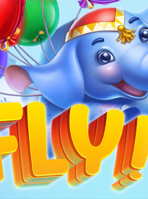 Fly