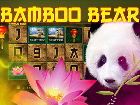 Bamboo Bear