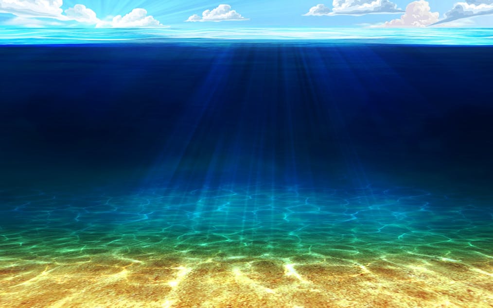 go-fishing-reelin-fortunes