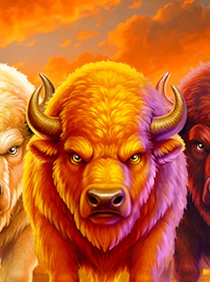 Action Ways Buffalo