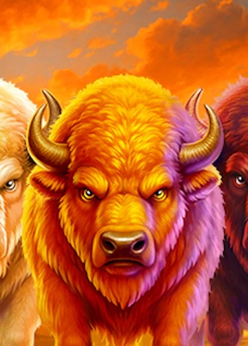 Action Ways Buffalo