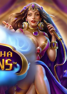 Shisha Spins