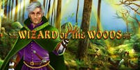 Wizard of the Woods