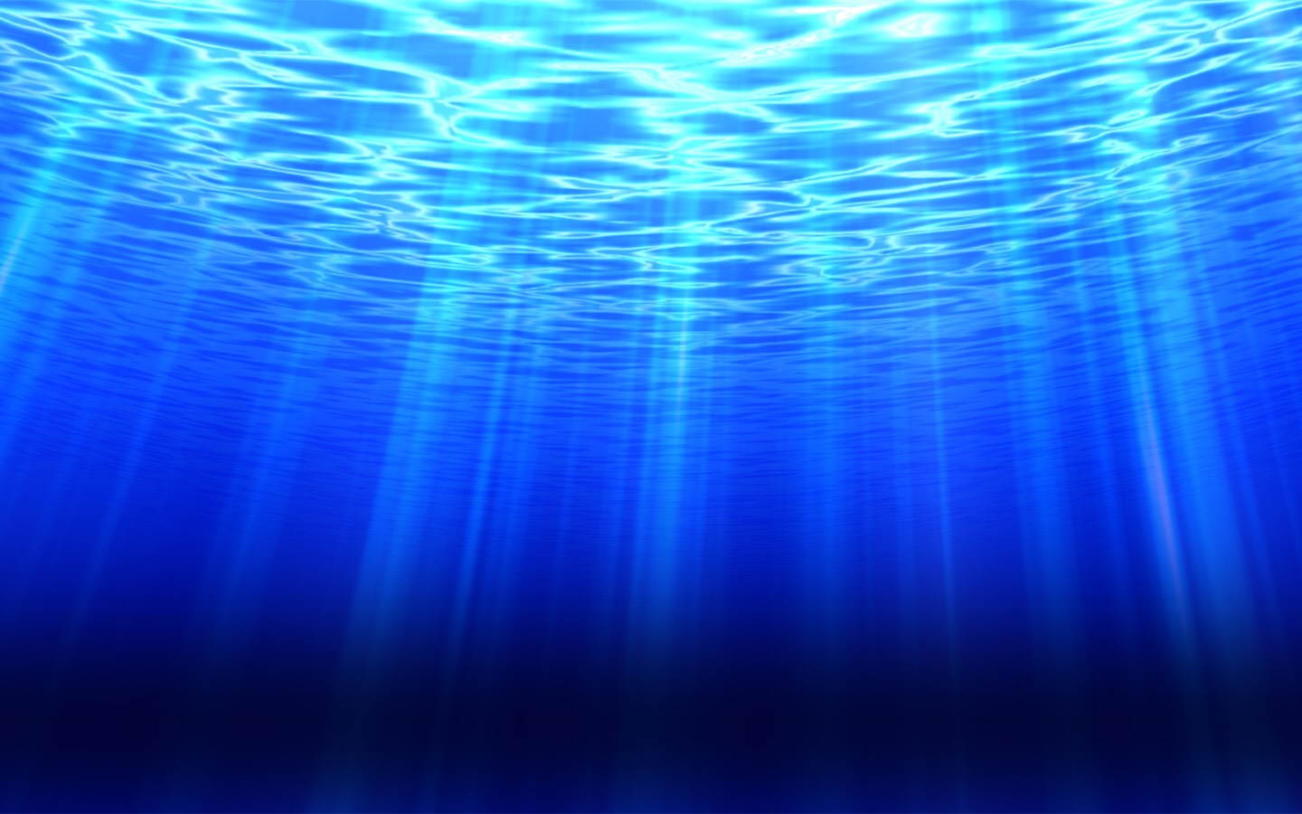 cash-connection-dolphin-s-pearl