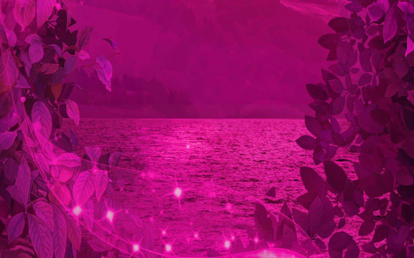 charming-lady-s-boom