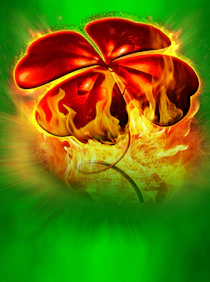 25 Red Hot Burning Clover Link
