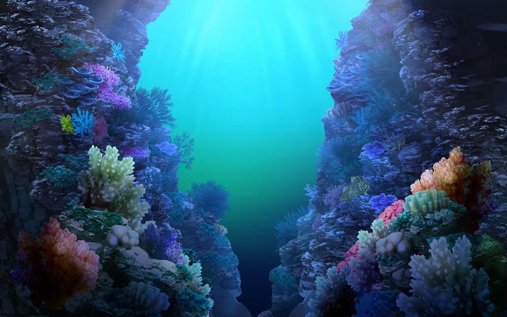 sea-treasure-deep-dive