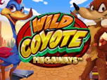 Wild Coyote Megaways