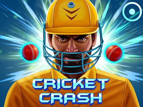 CRICKET CRASH!