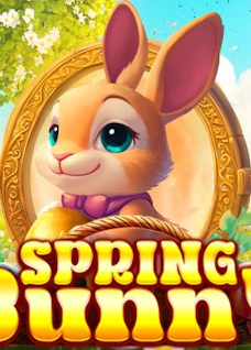 Spring Bunny