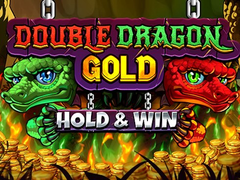 Double Dragon Gold: Hold and Win