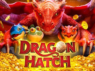 Dragon Hatch, aprenda a jogar o jogo do dragão - Portal O Dia
