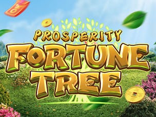 BUY BONUS at Prosperity Fortune Tree