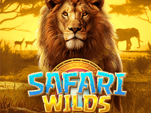 Safari Wilds