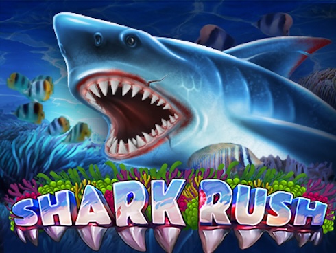 SHARK RUSH