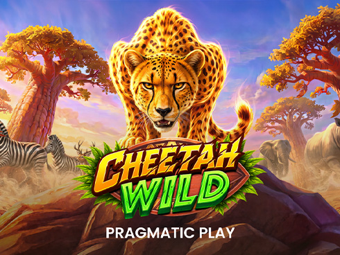 Cheetah Wild