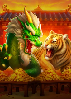 Dragon Tiger Fortunes