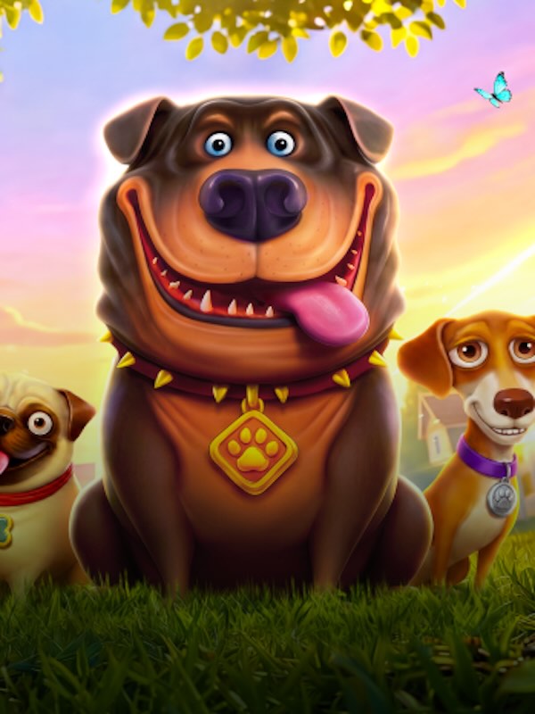 The Big Dog House