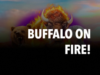 Buffalo on fire!