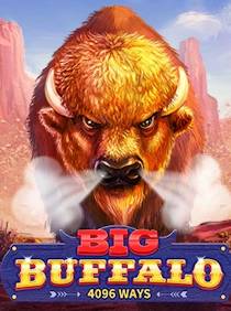 Big Buffalo