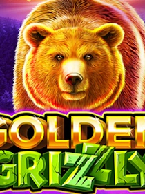 Golden Grizzly