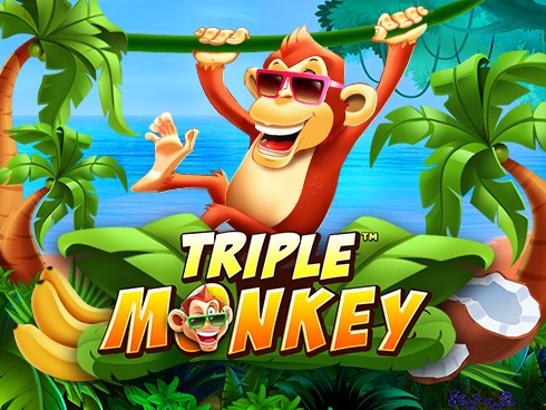 Triple Monkey