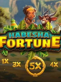 Habesha Fortune 5