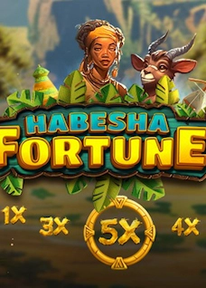 Habesha Fortune 5